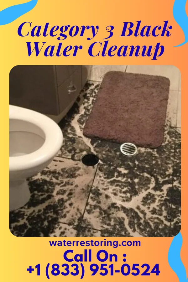Category 3 Black Water Cleanup in Strongsville, OH
