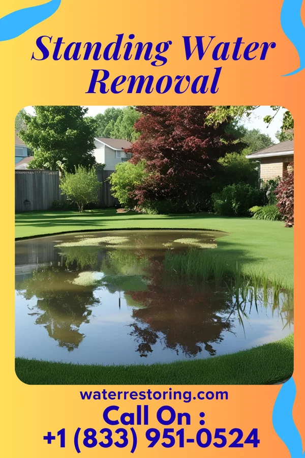 Standing Water Removal in Strongsville, OH